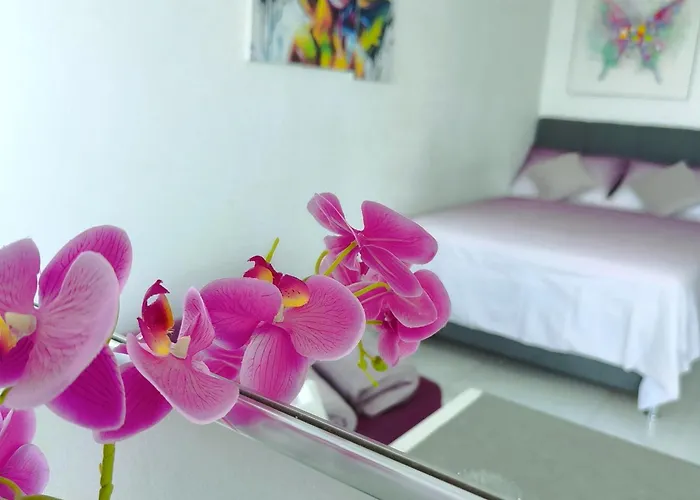 Apartment Cute Studio-great Location