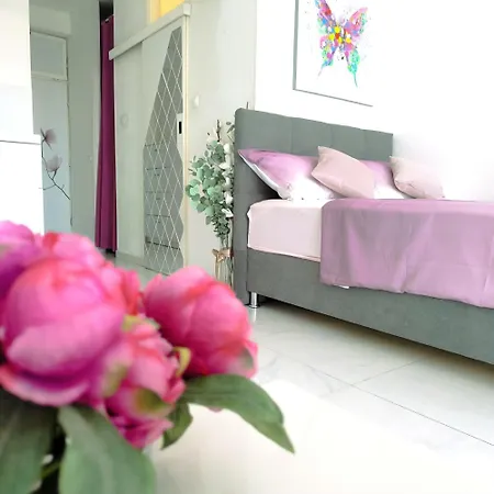 Cute Studio-great Location