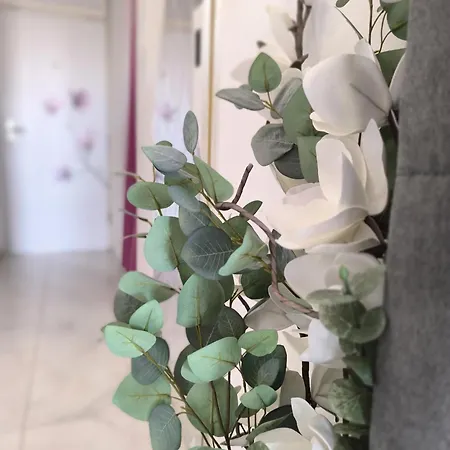 Cute Studio-great Location * Zadar