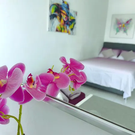Apartamento Cute Studio-great Location