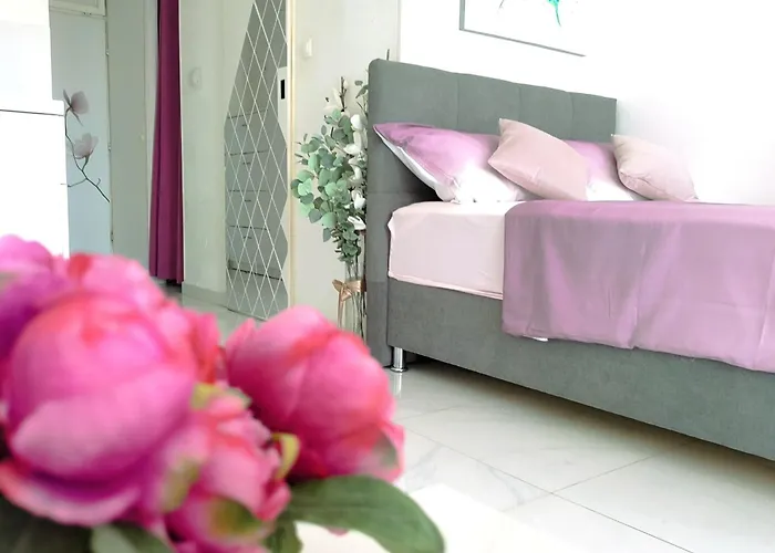 Cute Studio-great Location