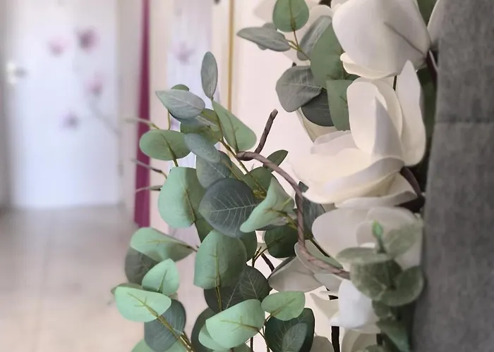 Cute Studio-great Location * Zára